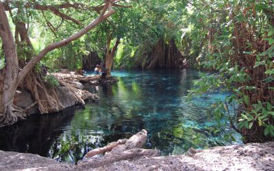 Day trip to kikuletwa water spring Tanzania
