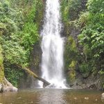 Marangu Waterfalls and Chagga Cultural Tour in Moshi