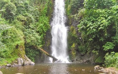 Marangu Waterfalls and Chagga Cultural Tour in Moshi