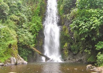 Marangu Village and Chagga Cultural Experience