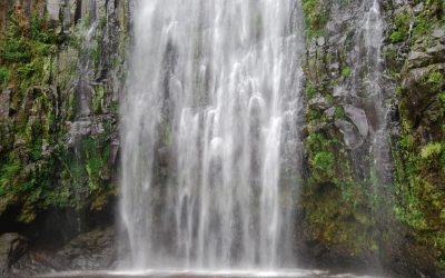 Materuni Waterfalls Day Trip