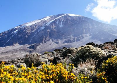 Trek Kilimanjaro via the Marangu Route