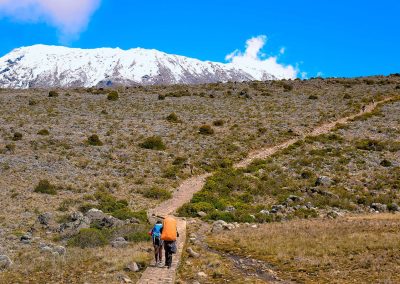 Angelina William and Group of Trekkers Trekking Mt. Kilimanjaro—A trek with Rejoice Africa Tour